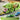Dinozaur Transformabil 3 in 1 Timebox, Devoreaza Masinute, Verde - Imagine 4