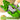 Dinozaur Transformabil 3 in 1 Timebox, Devoreaza Masinute, Verde - Imagine 8