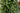Brad artificial de Crăciun Retezat, verde, 180 cm, cu suport